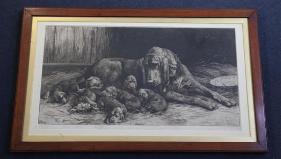 Herbert Thomas Dicksee (1862-1942) Bloodhound with litter of pups in stable 13.5 x 25in.
